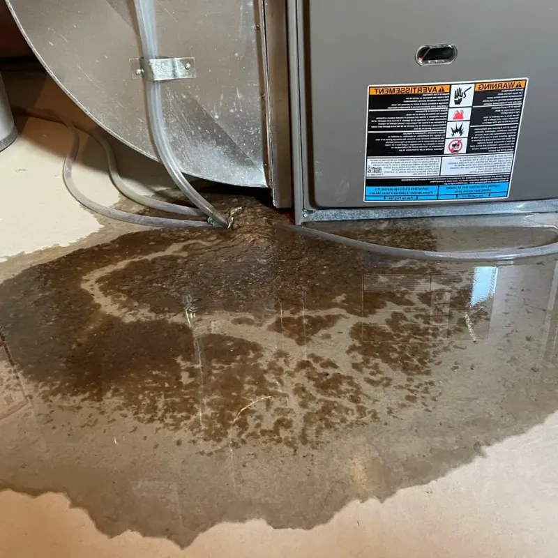 Pipe Burst and Leak Restoration in Wharton, PA